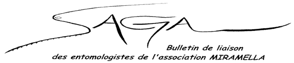 logo Saga